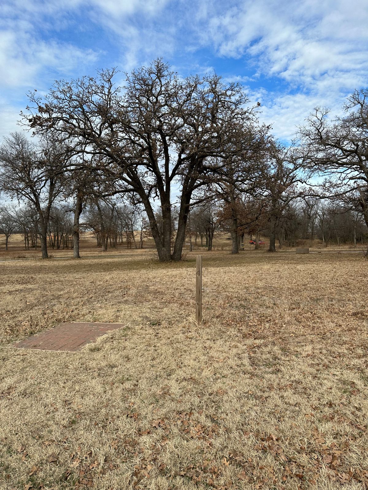 Hole 4 tee box