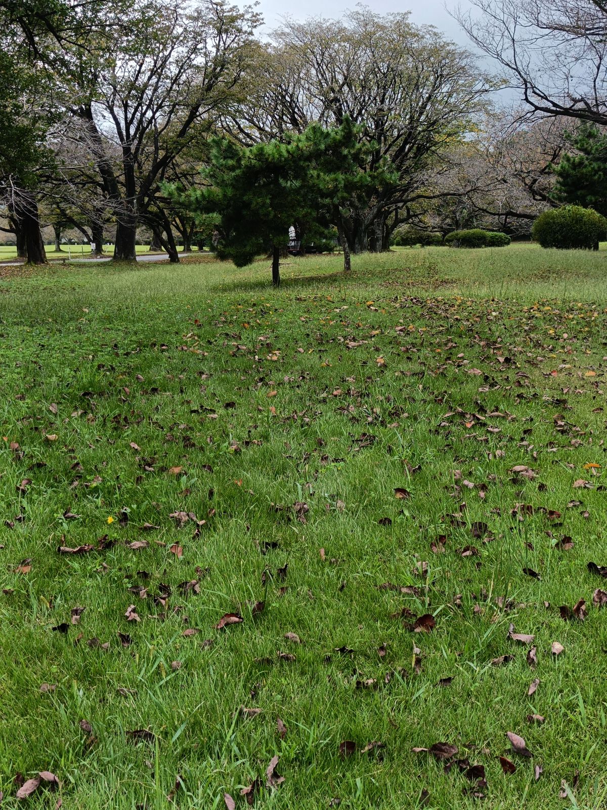 Old hole one, now hole three from the tee