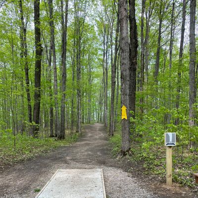Hole 12