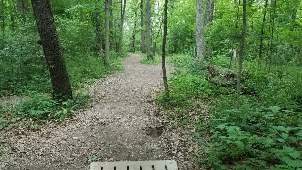 From #9 long tee