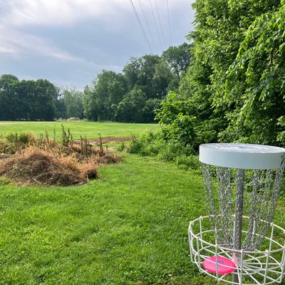 Hole 18 basket POV. Basket tucked in front of tree line. OB is 20ft to the right of basket.