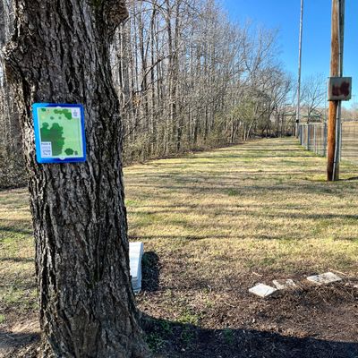 Hole 6 tee