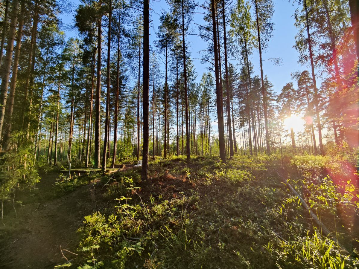 Heittopaikka 12