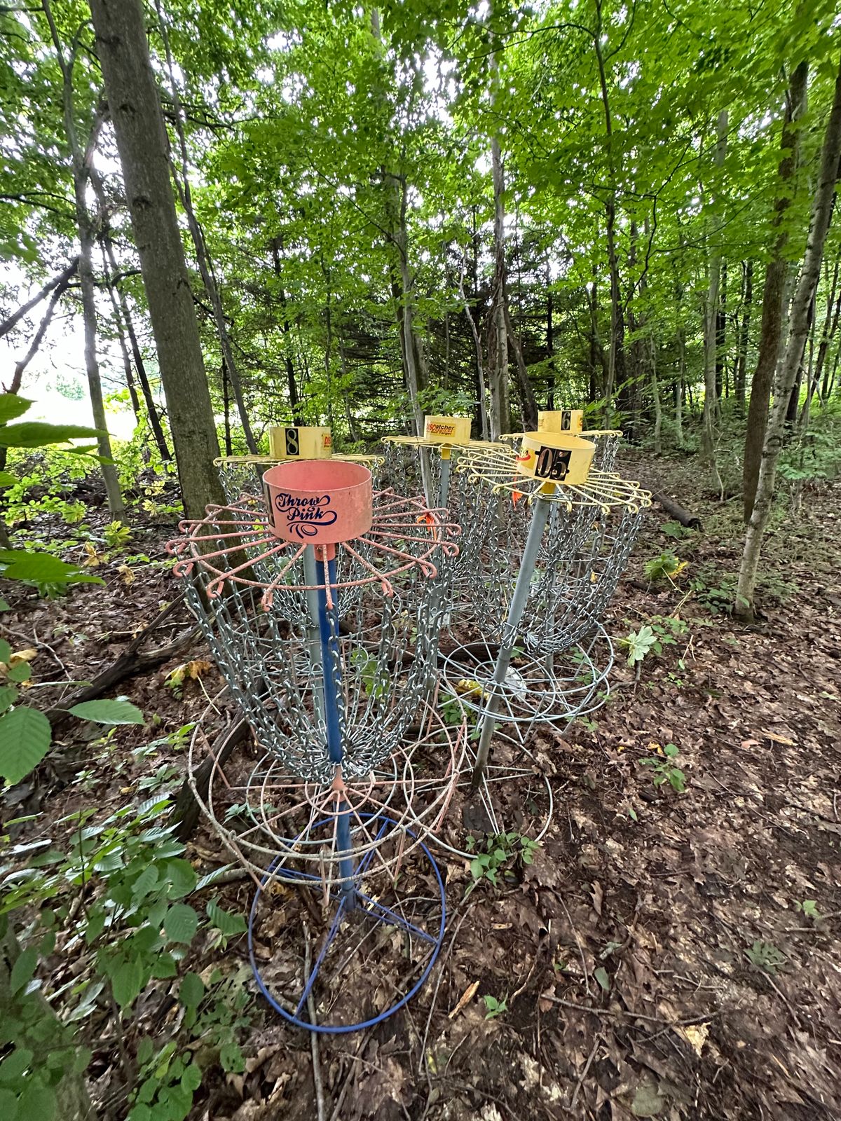 Holes 4-8 baskets just sitting together and not set up to play in late June :(