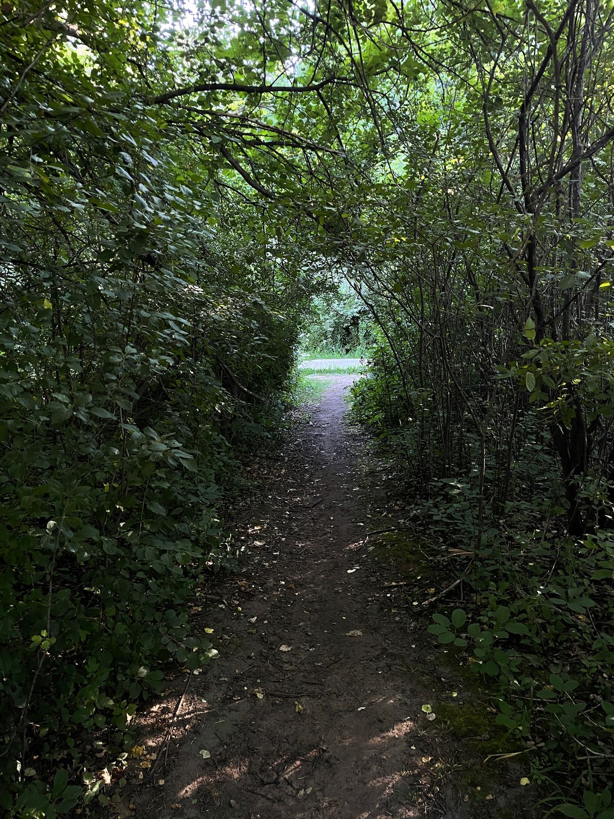 Loved the trails