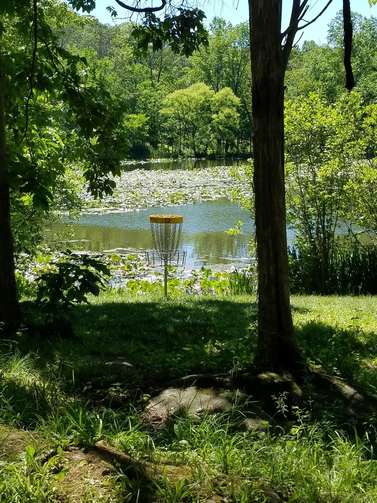 Hole 12 green
