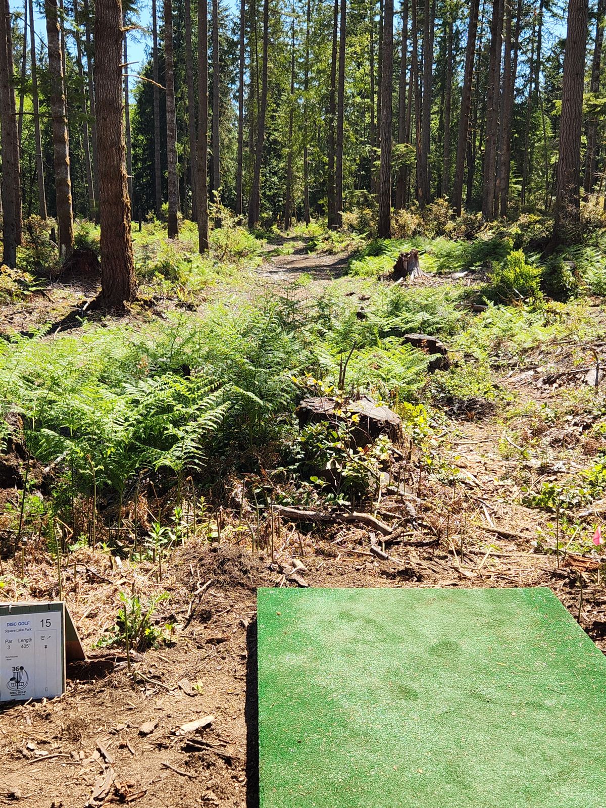 Hole 15 Fairway