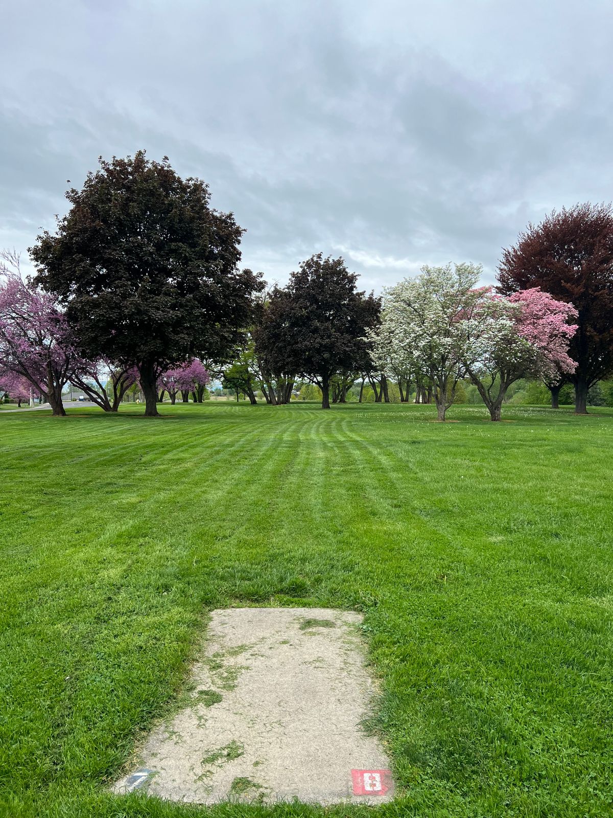Hole 8, probably the prettiest hole