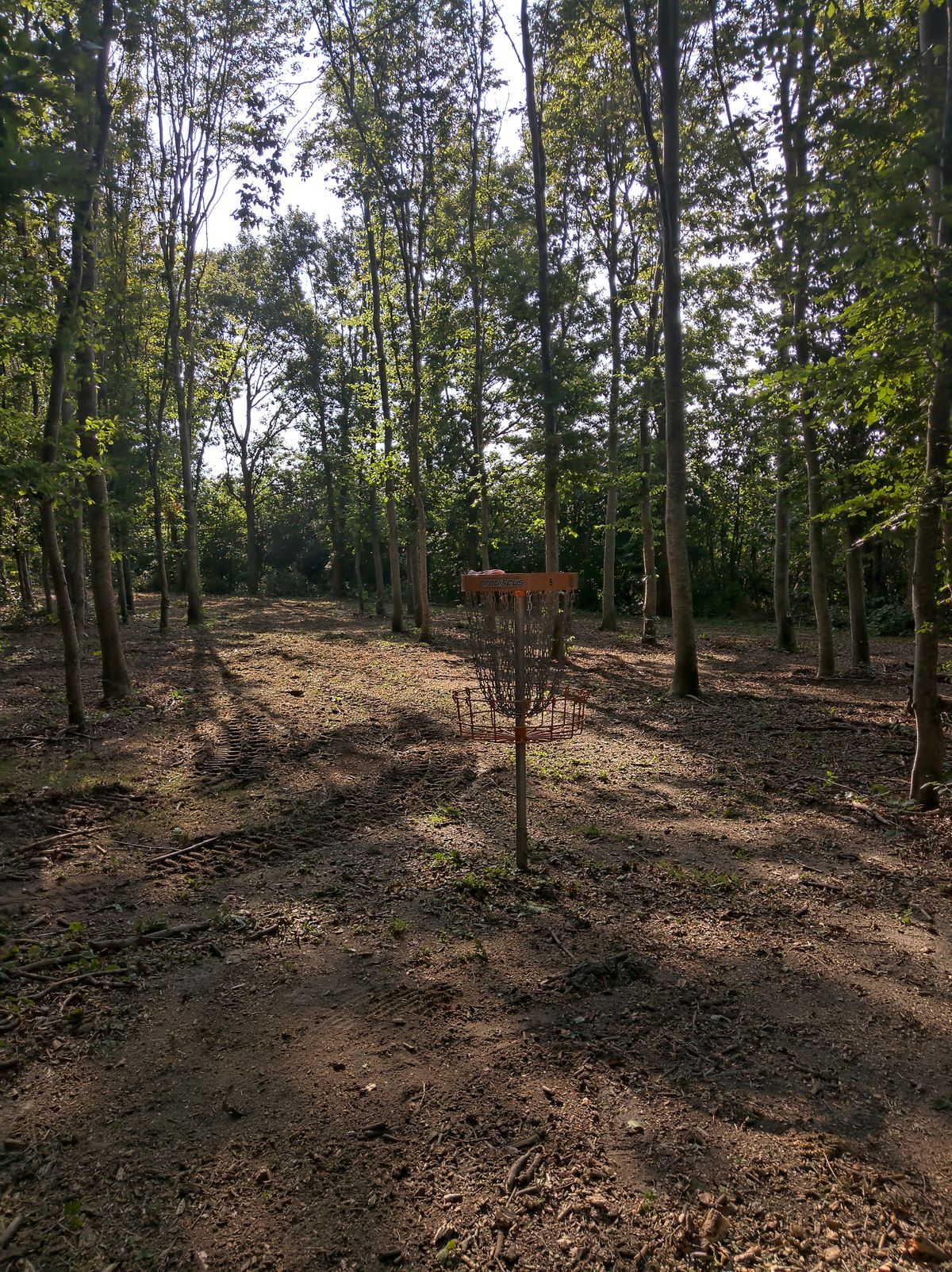 Hole 5