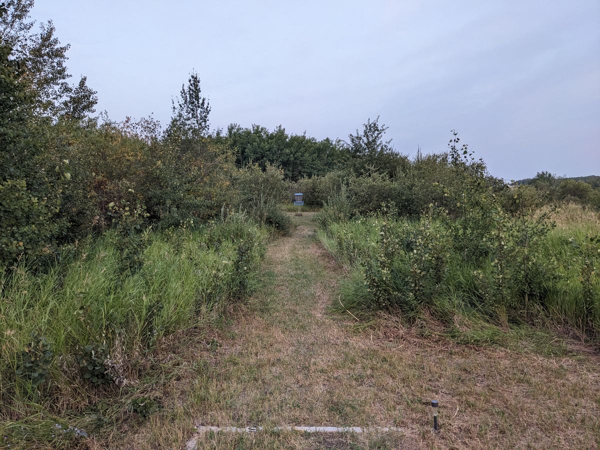 Hole 9