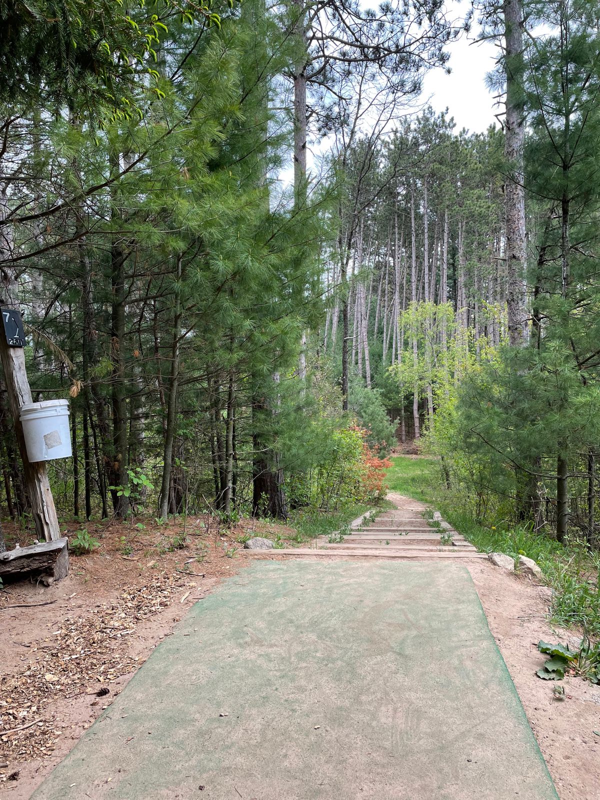 Hole #7 from the tee