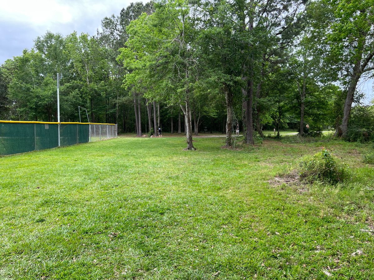 Hole 12 Red