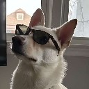 User avatar image