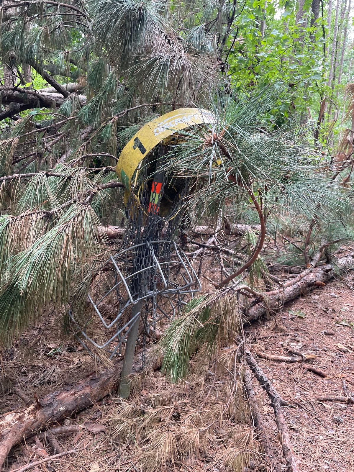 Hole 1. Completely destroyed basket