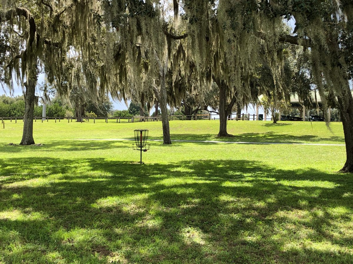 Basket on Hole #4