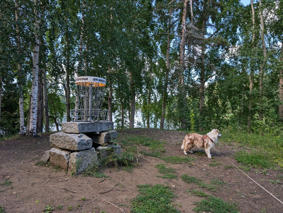 Hole 9 (Pro layout)
