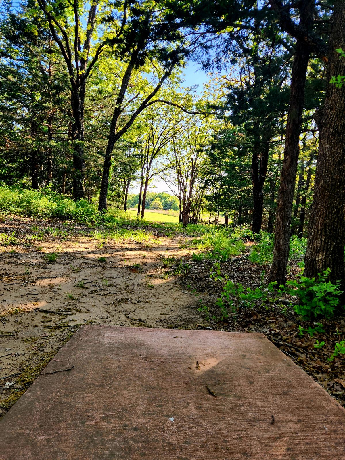 Hole 17 - Teepad (Short)