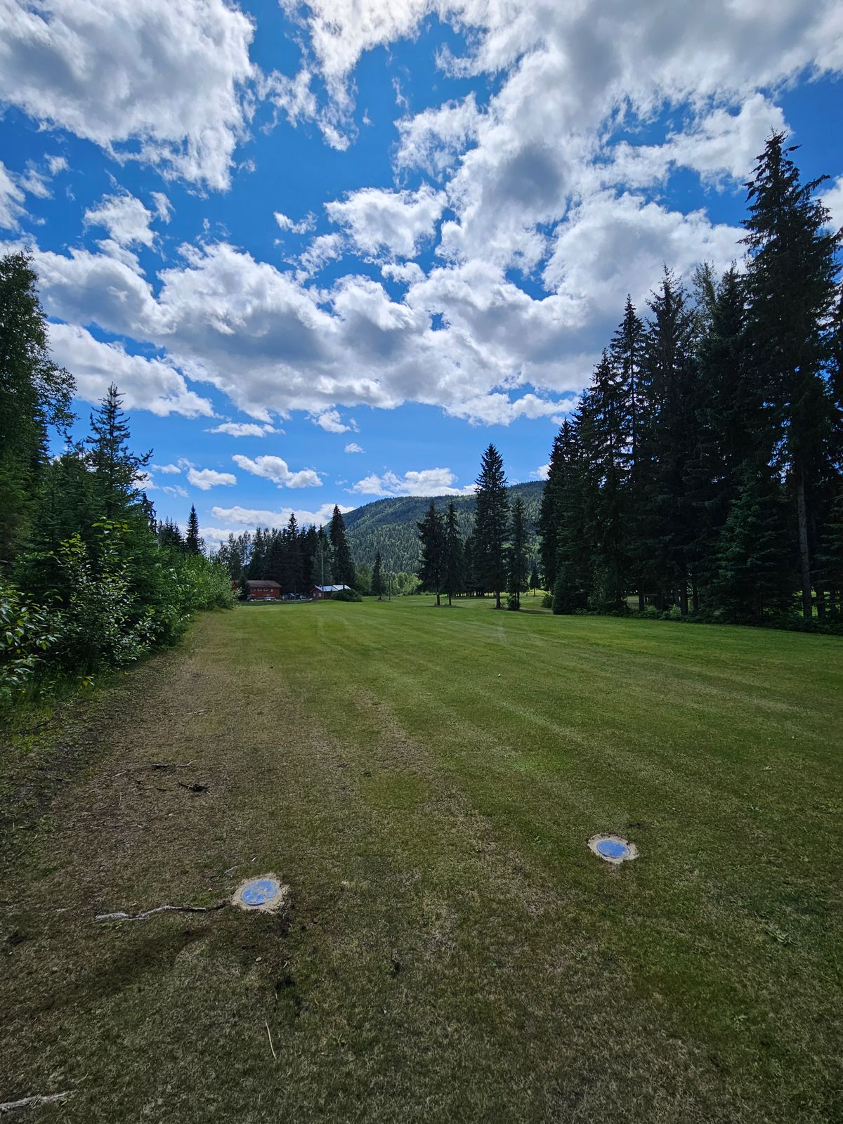 long pad, ball golf green ob. roads right and left ob, as well as deep of basket.