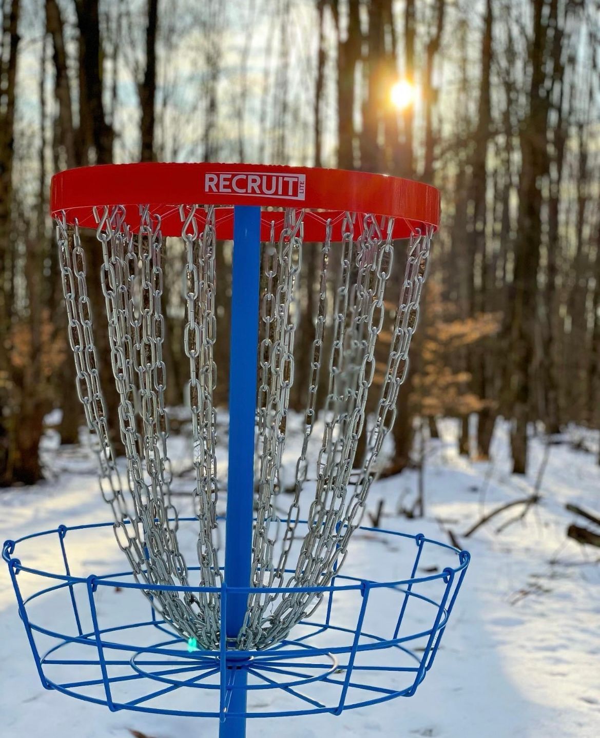 Hole 5 Basket