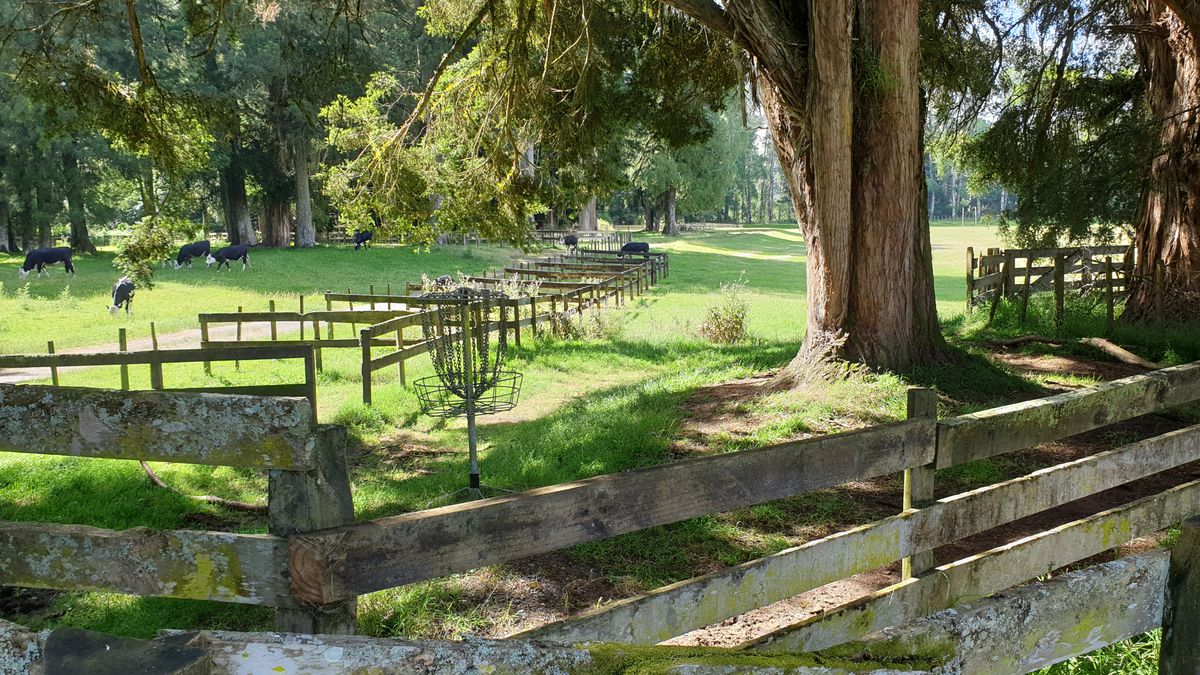 Approach into the Par 3/4 double hole looking back down the hole. All the wooden fences are OB coming into the basket