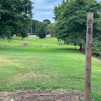 Hole 8 down fence line and creek. Throws between the trees across ditch back to the right.