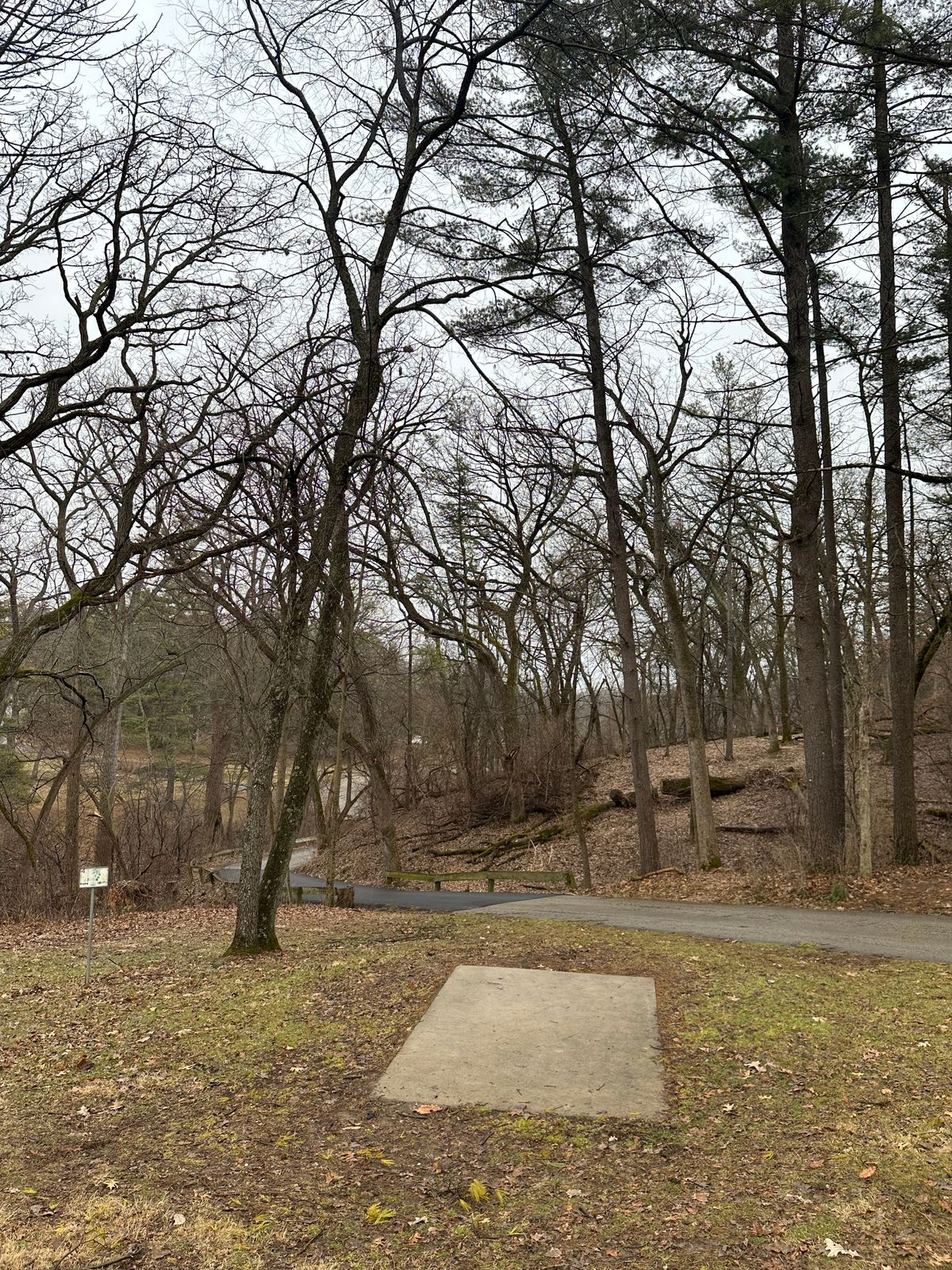 hole #4 teepad