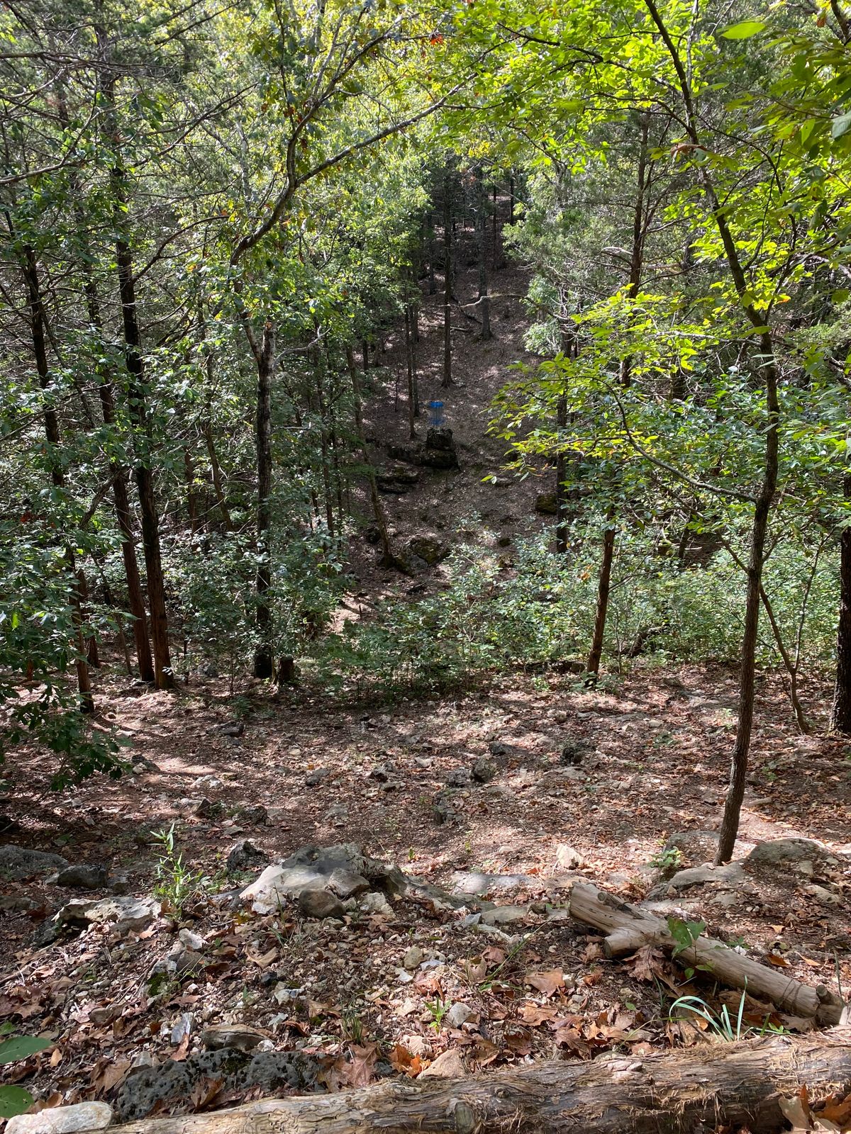Hole 8 looking down fairway.