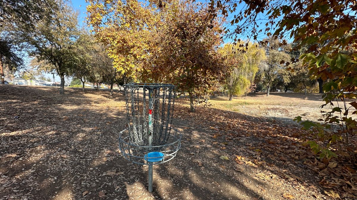 Basket 1 looking back at Tee 1