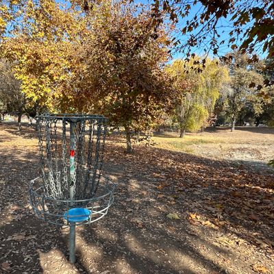 Basket 1 looking back at Tee 1