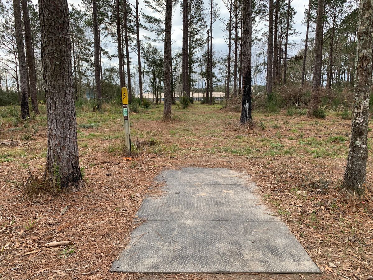 Hole 5 Fairway