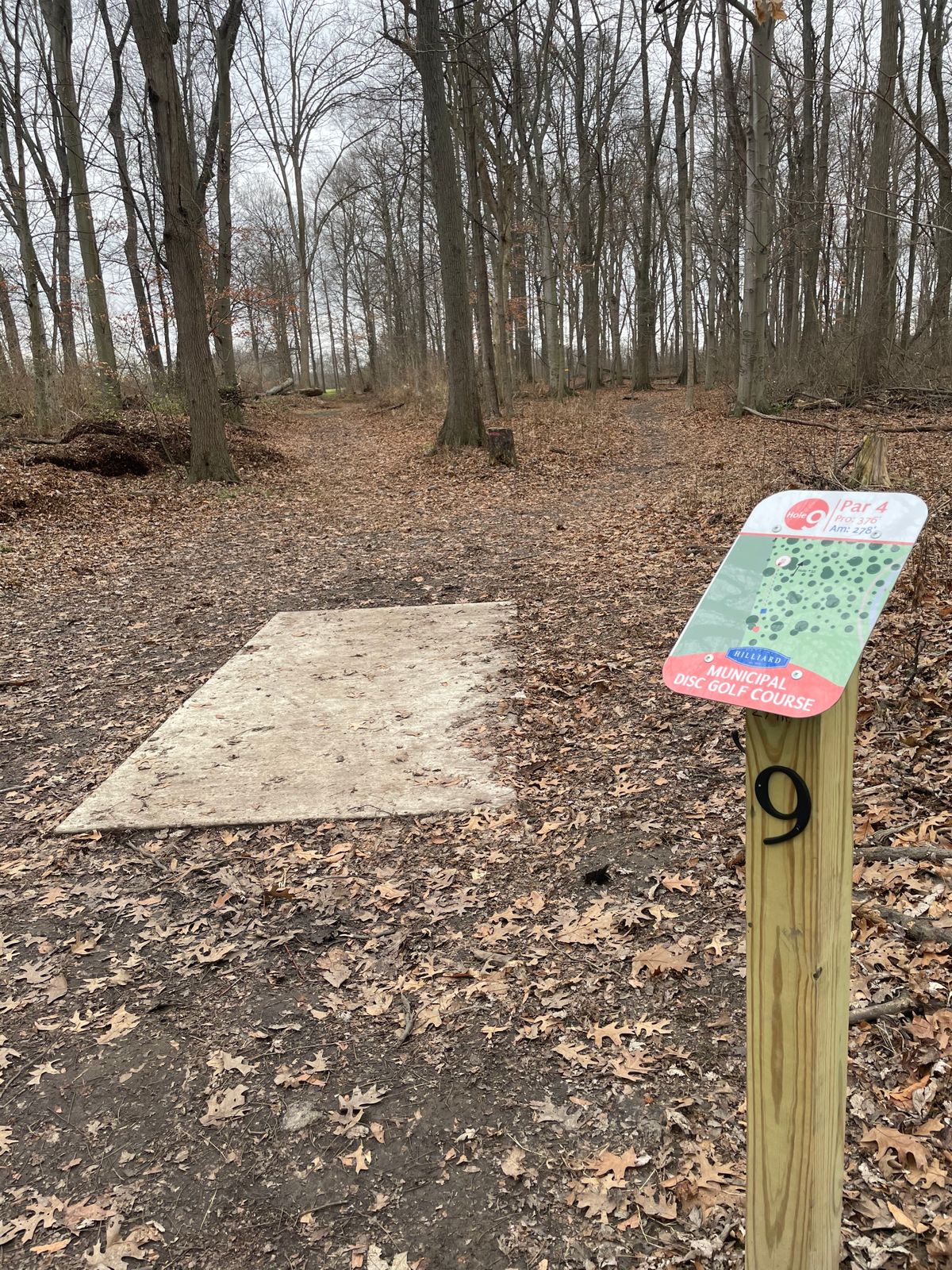 Left side fairway more open than right