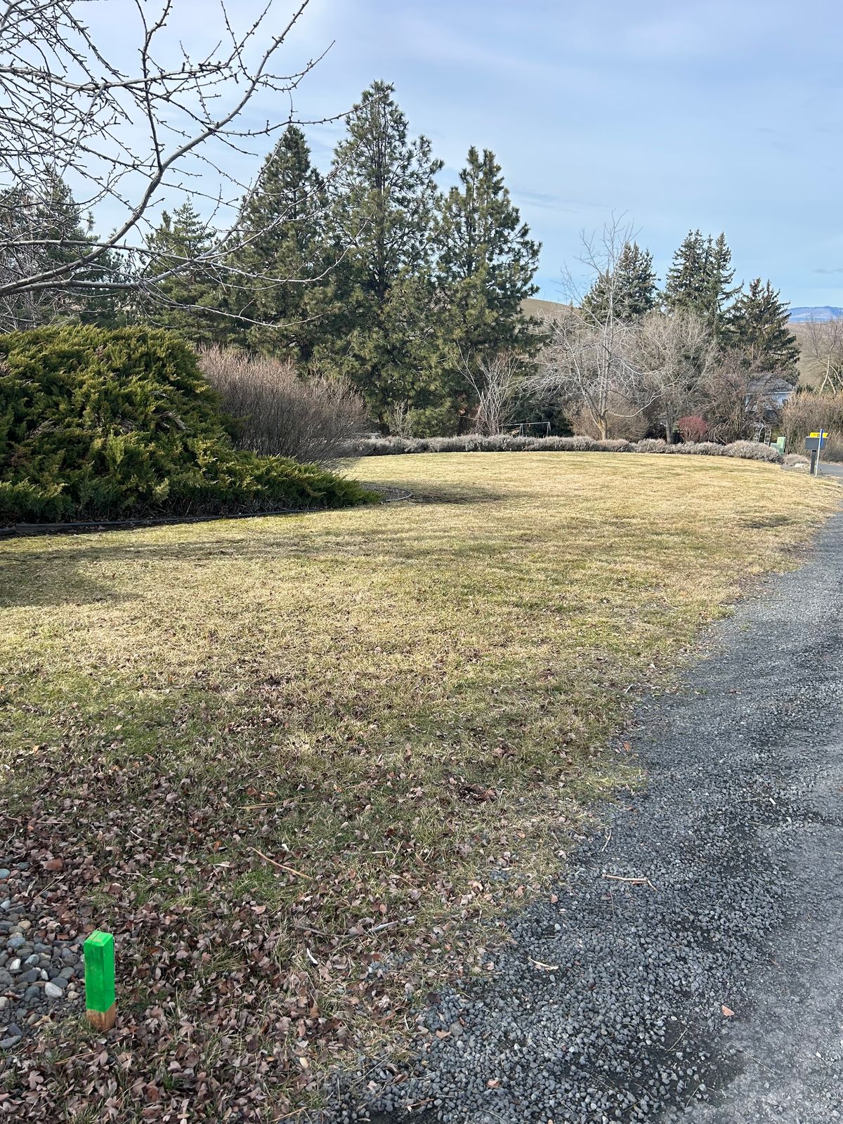 Hole #18. 160’. Over hedge and downhill. Hedge is OB.