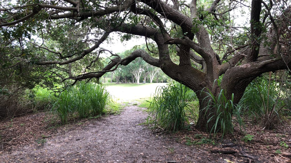 Hole 10
