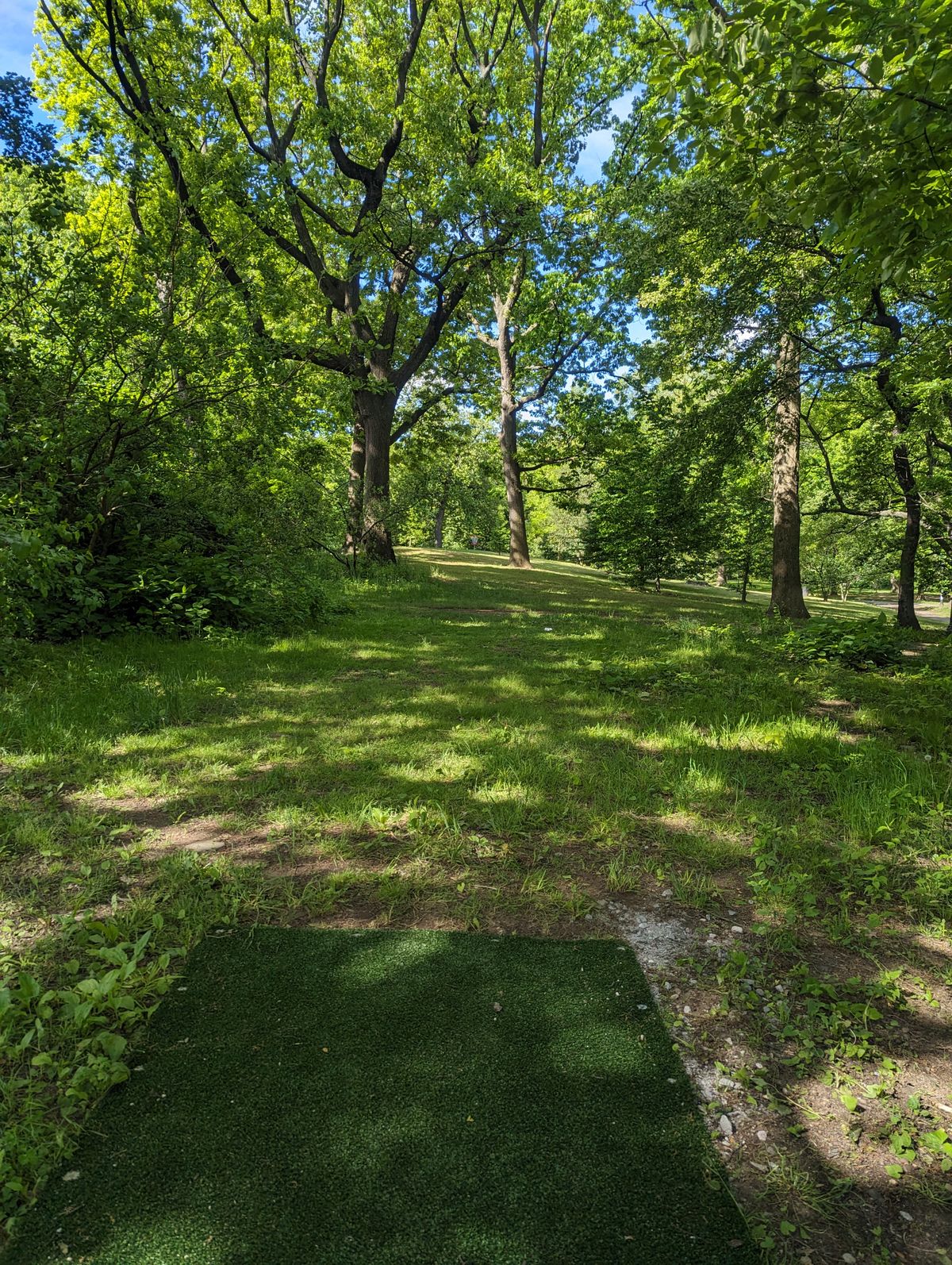 Hole 7