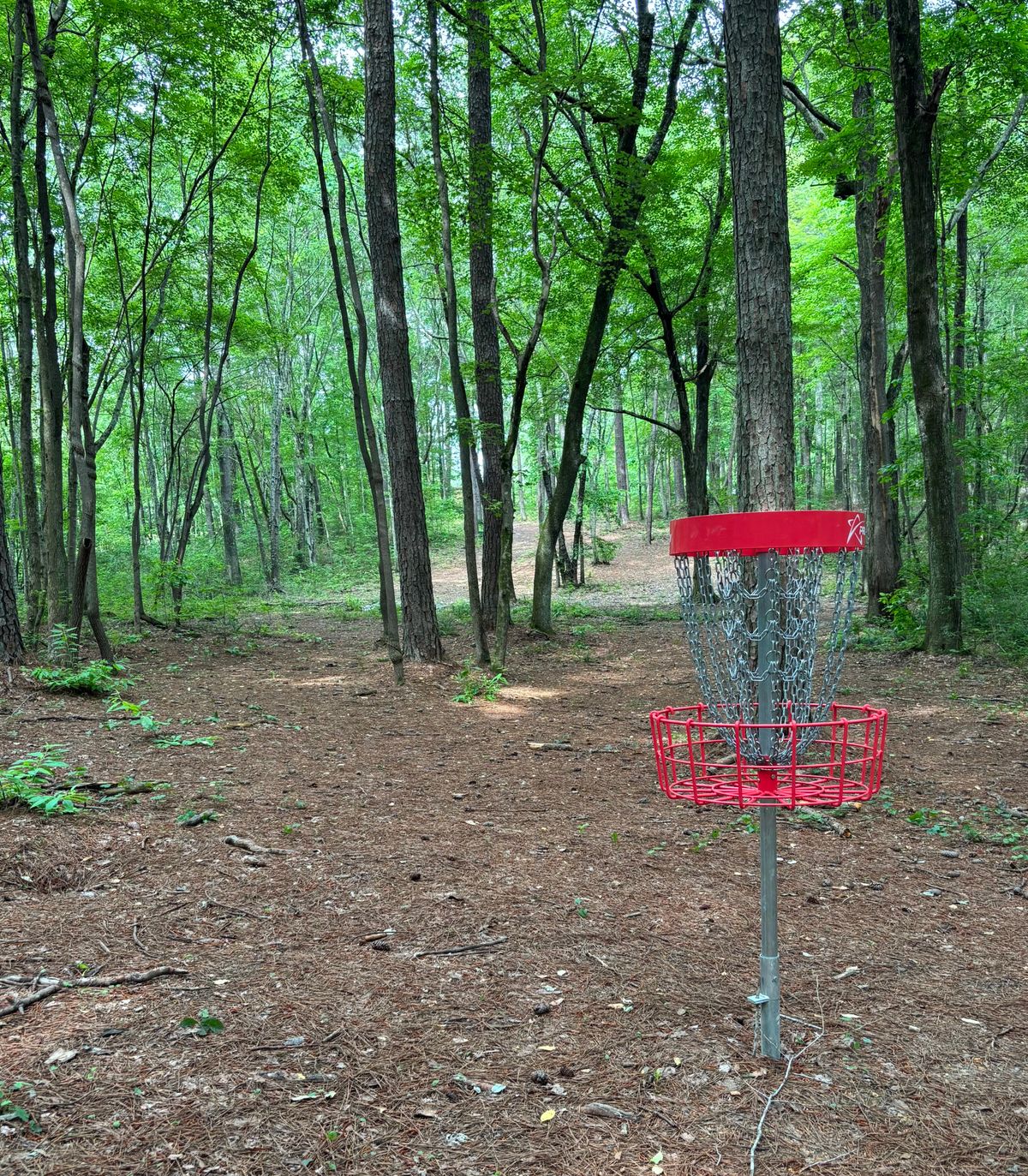 Hole #1 Basket to Tee