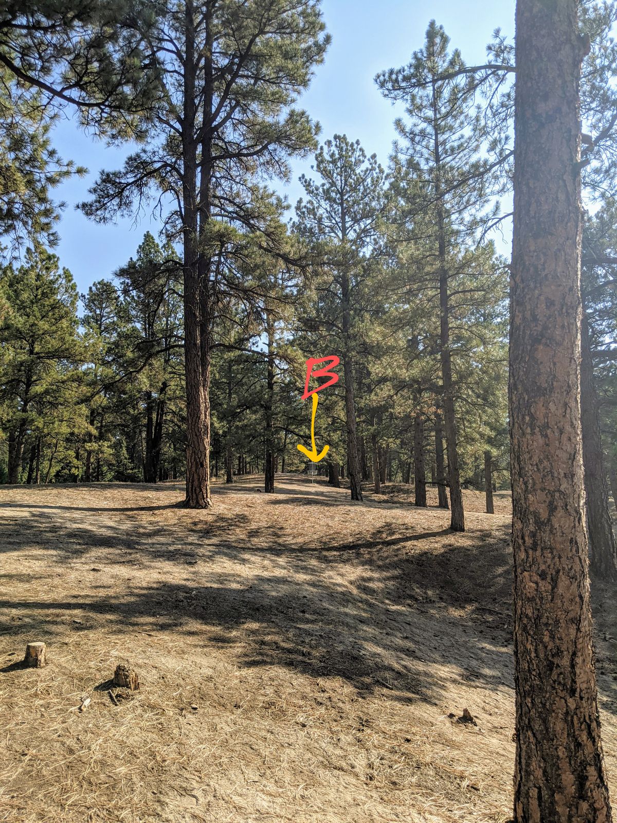 Yellow pin placement. View from the fairway thru the window off of the tee.