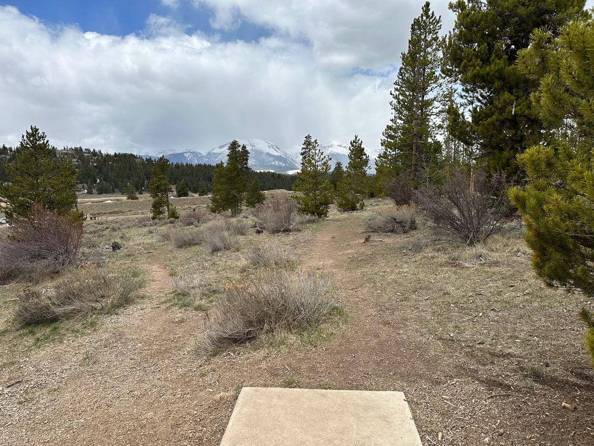Hole 5 Tee