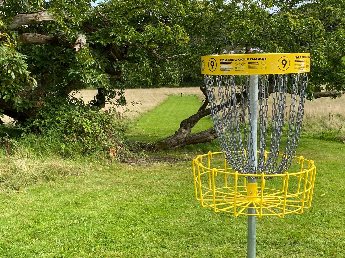 Hole 9 basket  looking back towards tee