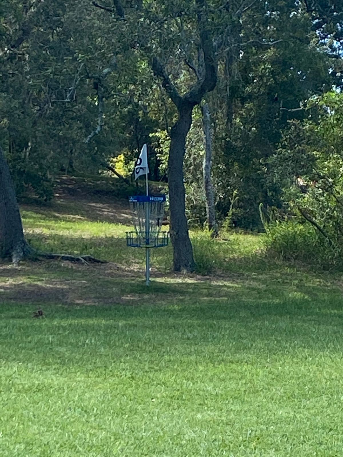 Hole 6 basket. Fairway view.