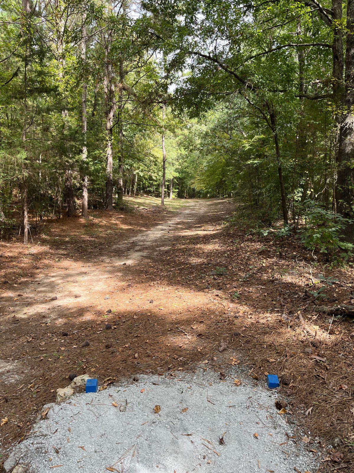 Hole 15: blue tee