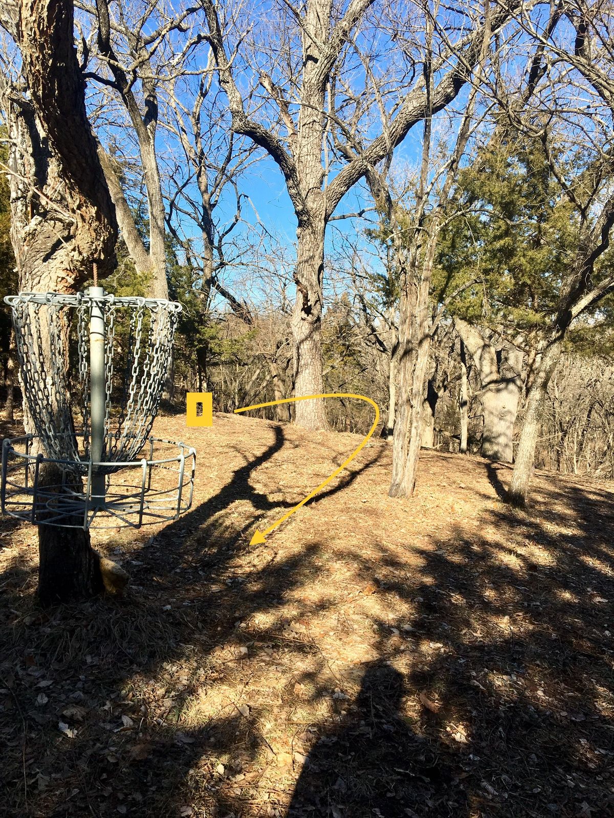 Hole 7 Basket to Tee (Hanging Basket)