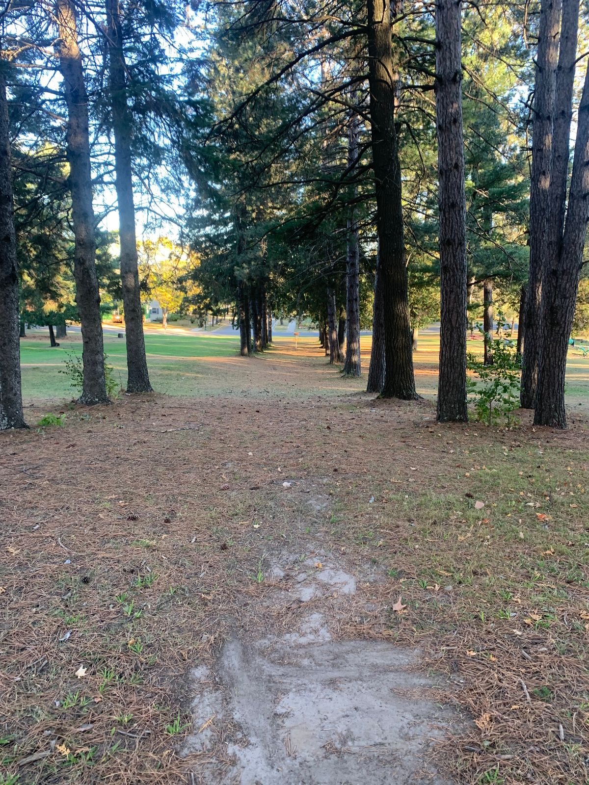 View of the tee area looking towards the basket.