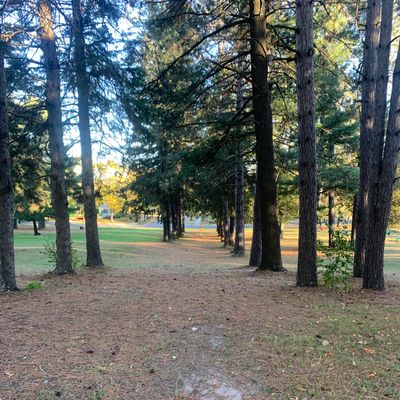 View of the tee area looking towards the basket.