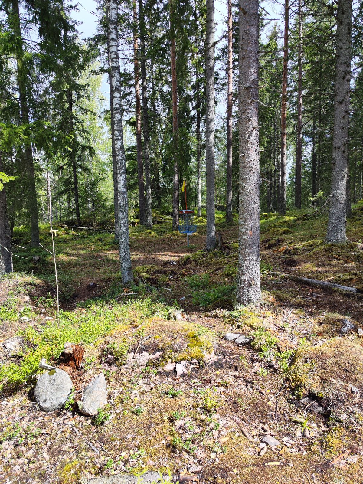 Väylä 8 kori