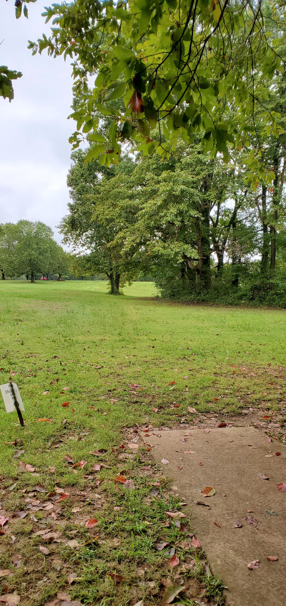 Hole 14