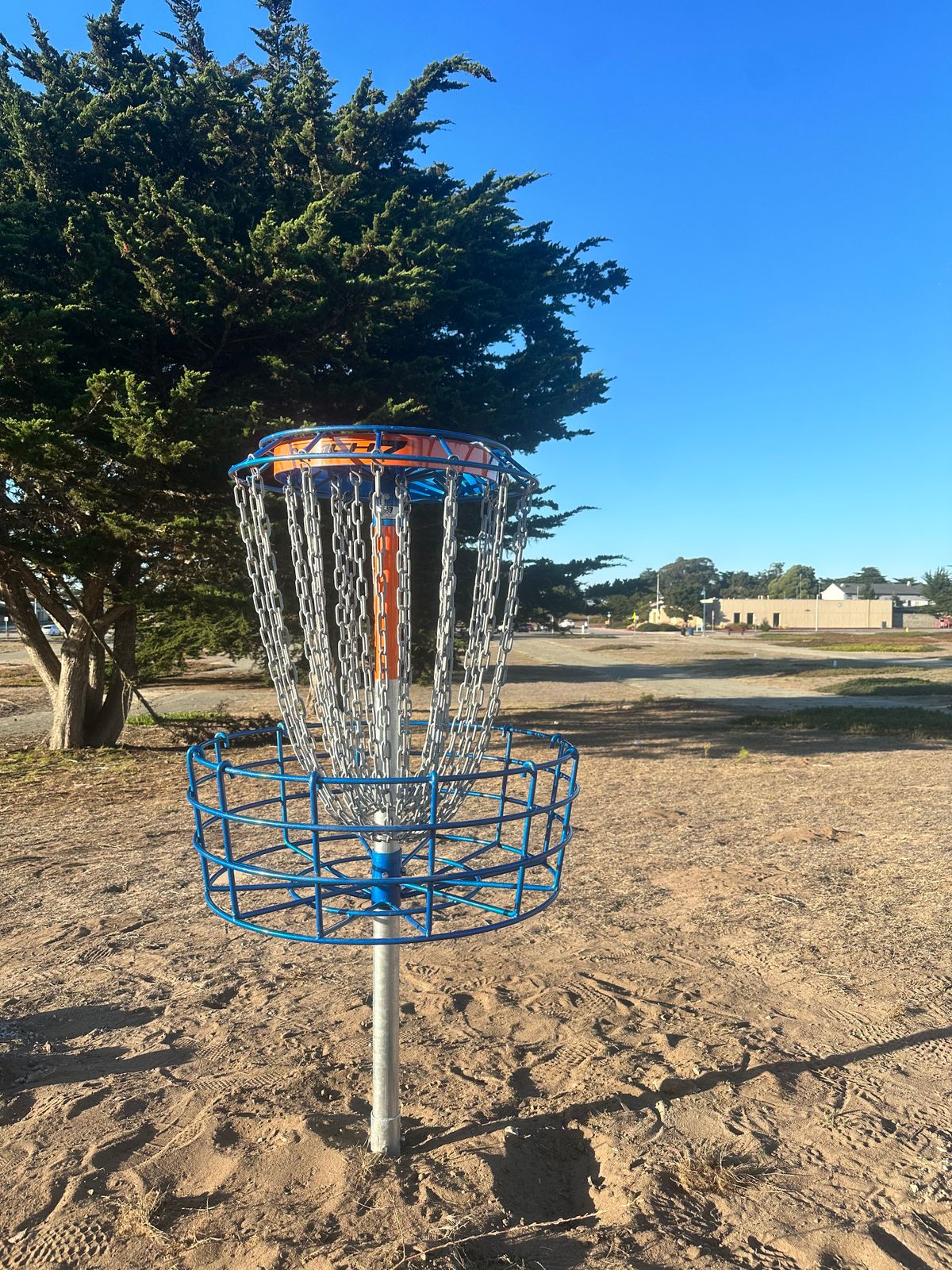 Hole 6's new basket.
