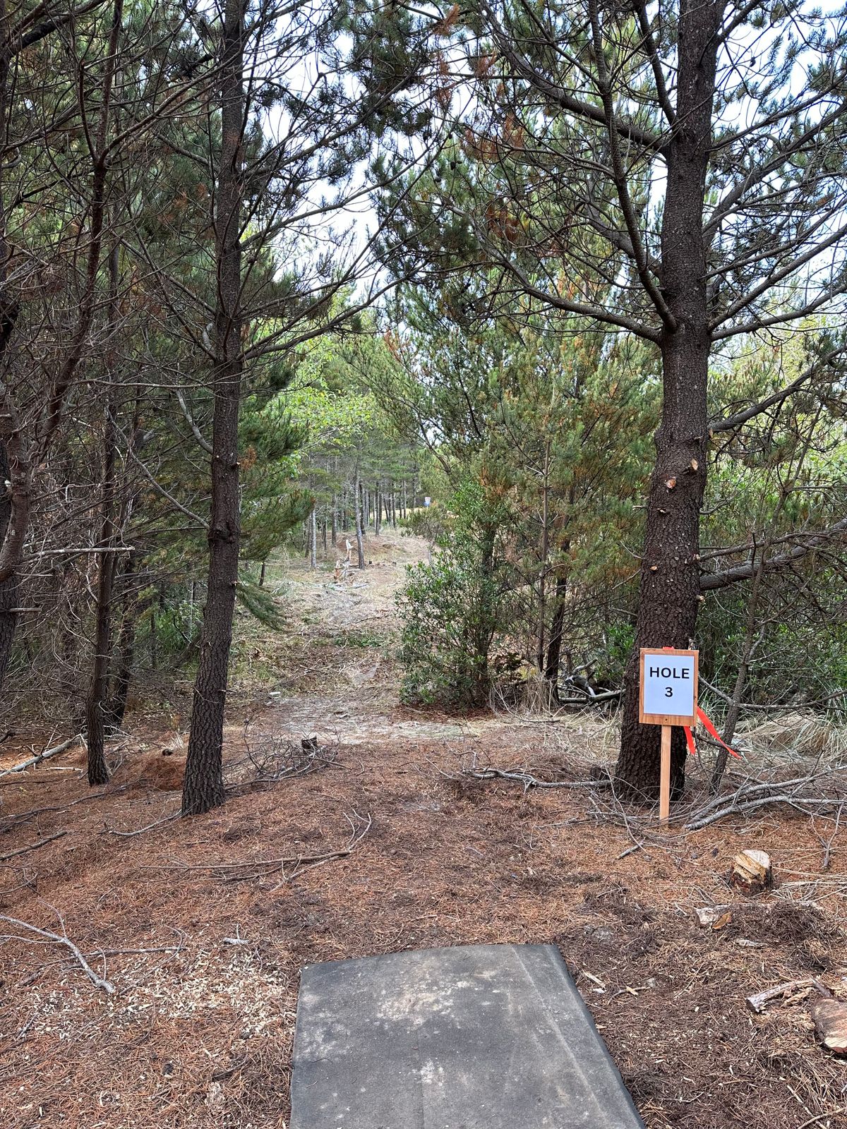 Hole 3 temporary tee