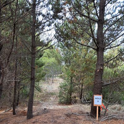 Hole 3 temporary tee
