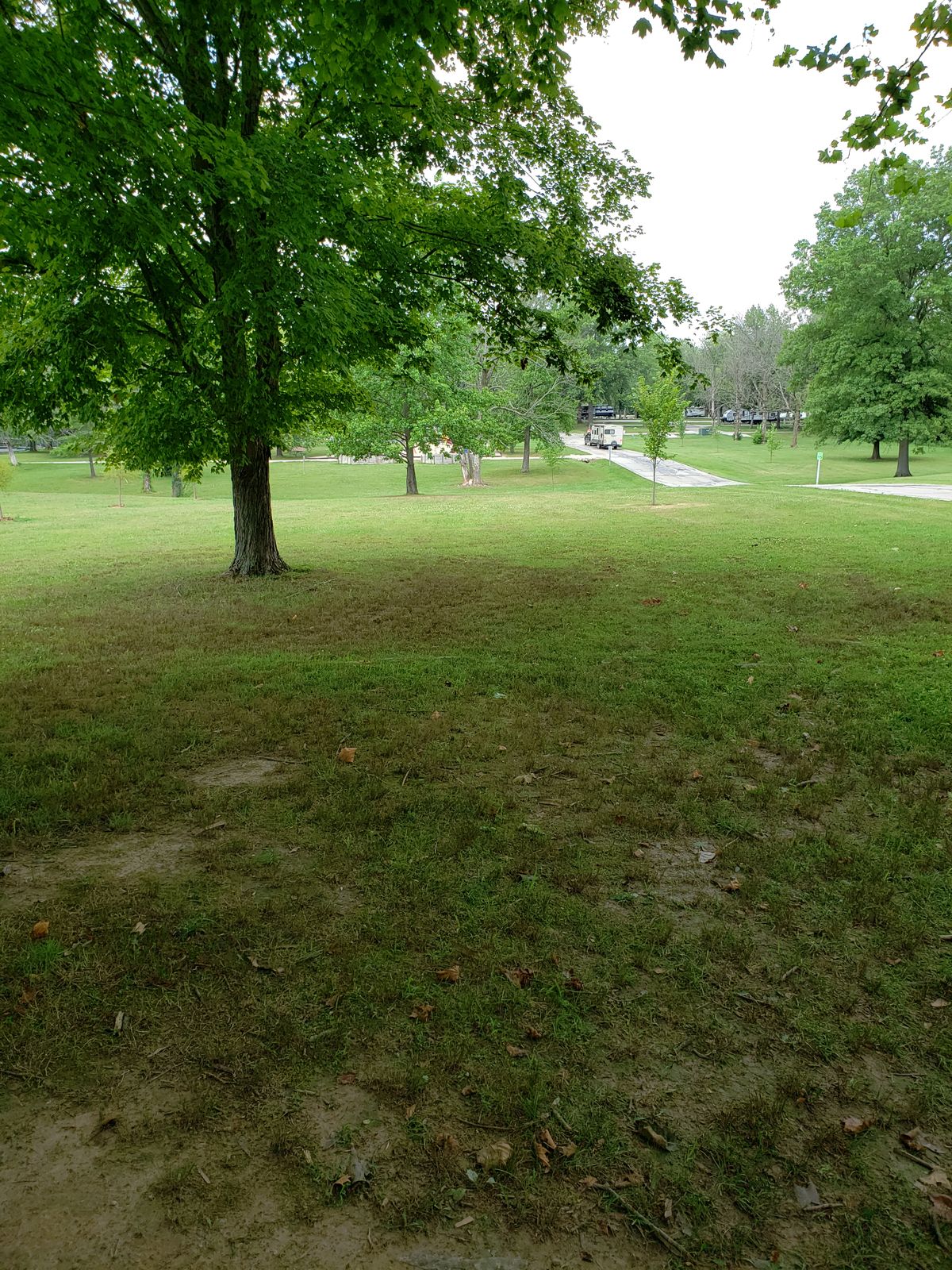 #6 Top of hill facing toward the #6 Basket Approach.
