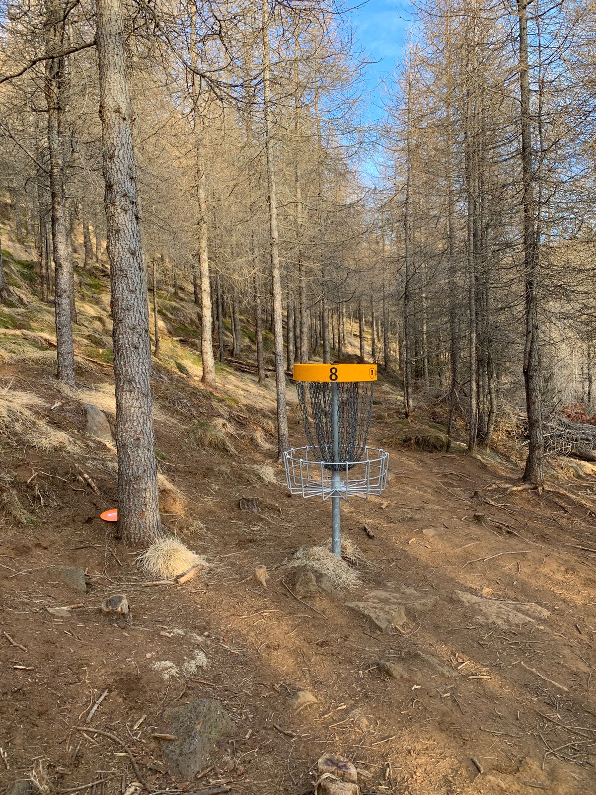 Hole 8